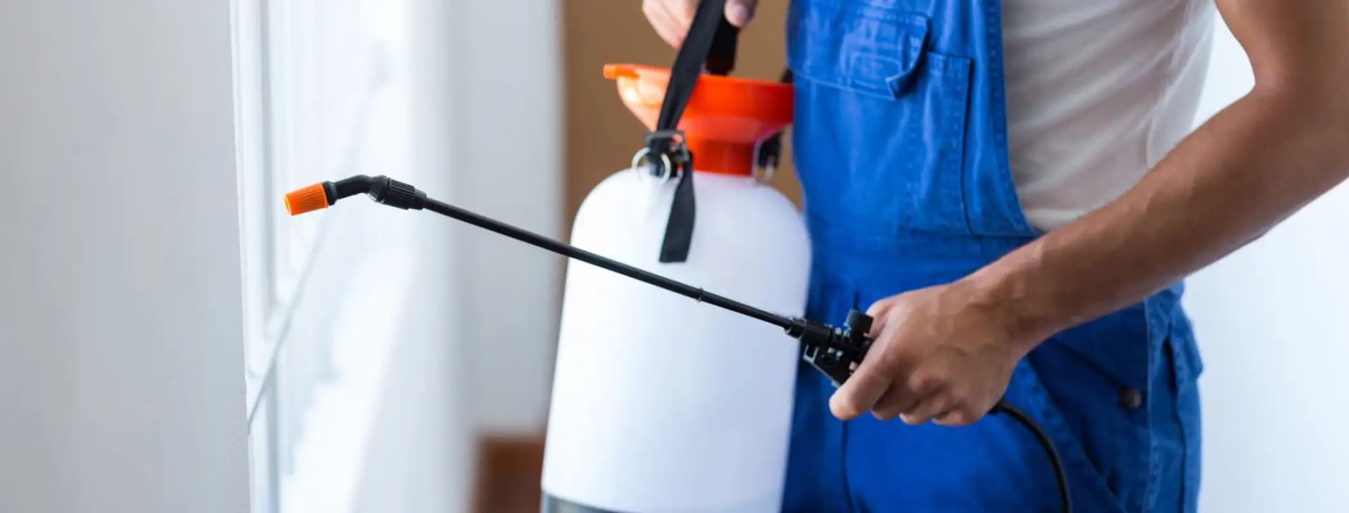 Man spraying pest control from a bottle