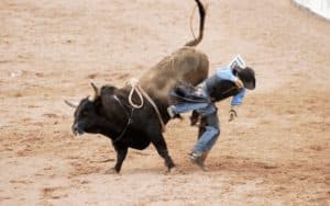 bull rider jumps off